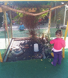 Soenêtjie Kleuterskool Creche Centurion Zwartkop Soenetjie Zwartkop